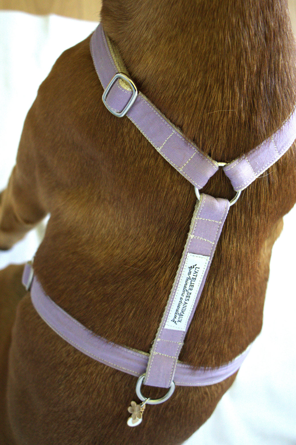 Harnais pour chien - Lilas