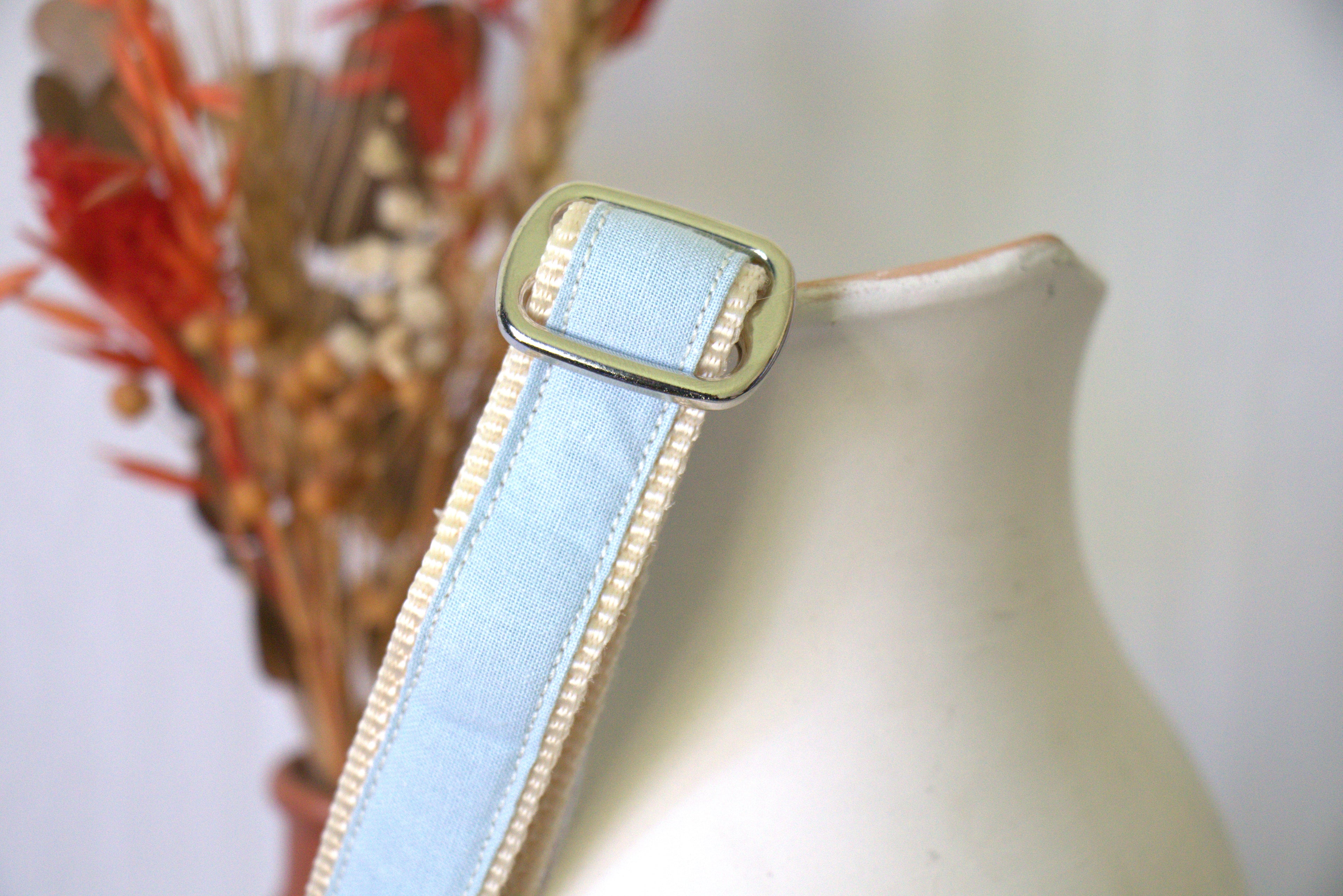 Collier pour chien - Bleu Glacier