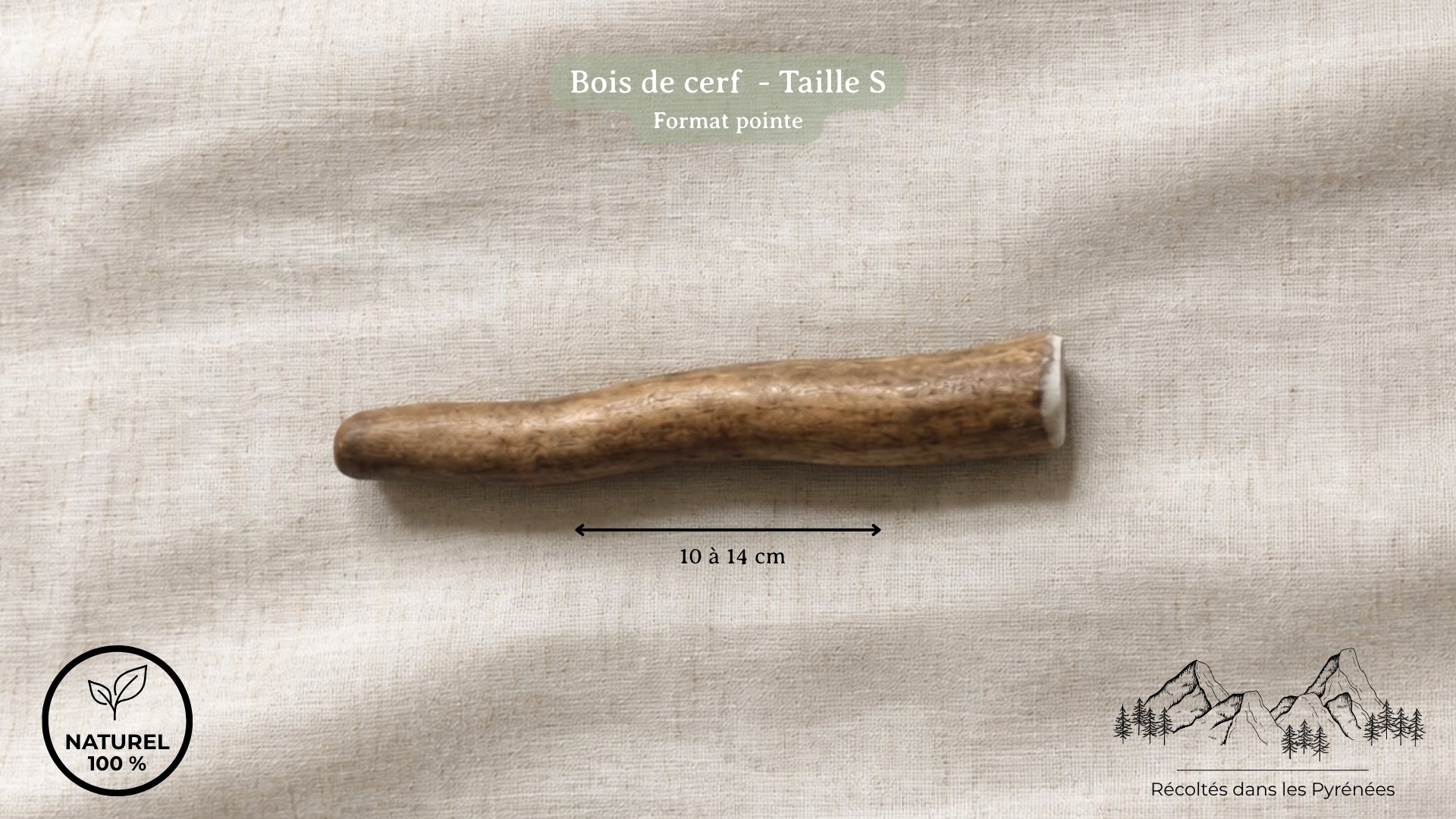 Bois de cerf naturel des Pyrénées