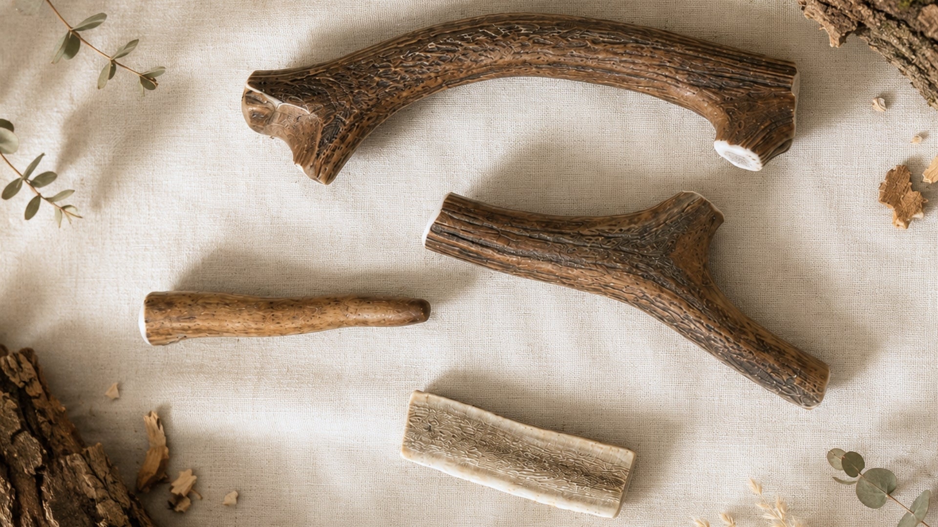 Bois de cerf naturel des Pyrénées
