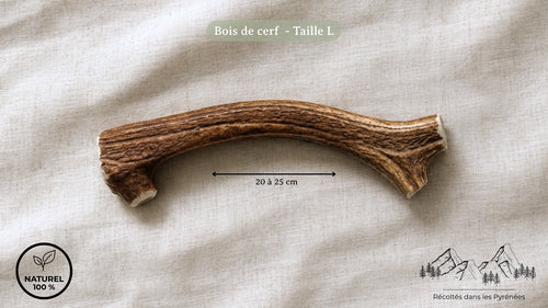 Bois de cerf naturel des Pyrénées